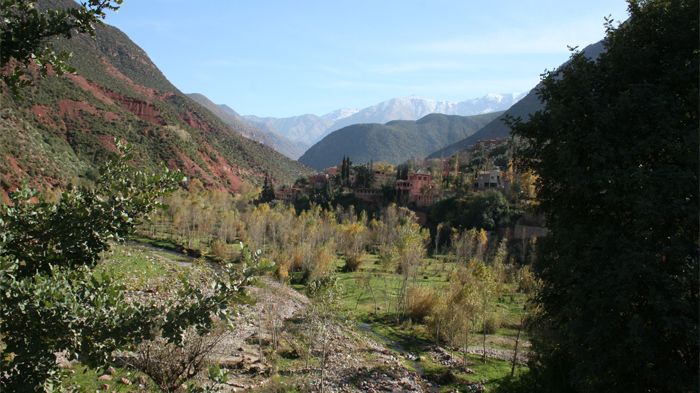 Ein grünes Tal im Hohen Atlas
